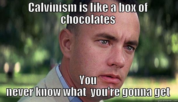 CALVINISM IS LIKE A BOX OF CHOCOLATES YOU NEVER KNOW WHAT  YOU'RE GONNA GET Offensive Forrest Gump