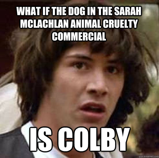 What if the dog in the Sarah mclachlan animal cruelty commercial is colby  conspiracy keanu
