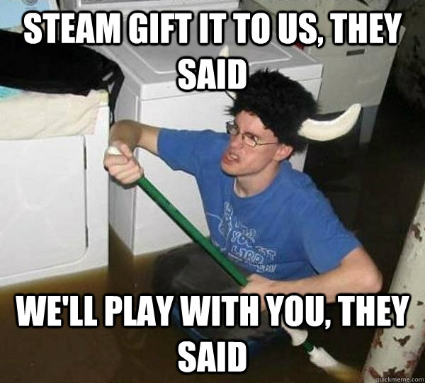 Steam gift it to us, they said We'll play with you, they said  They said