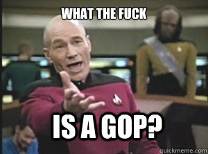 WHAT THE FUCK IS A GOP?  Annoyed Picard
