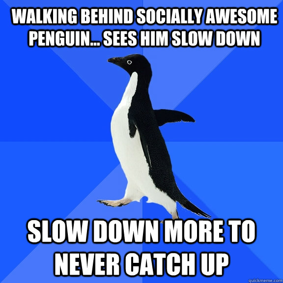 Walking behind socially awesome penguin... sees him slow down Slow down more to never catch up  Socially Awkward Penguin