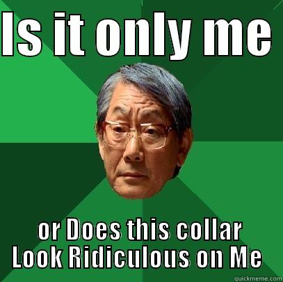 IS IT ONLY ME  OR DOES THIS COLLAR LOOK RIDICULOUS ON ME  High Expectations Asian Father
