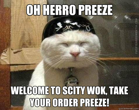oh herro preeze Welcome to scity wok, take your order preeze!  South Park City Wok Cat