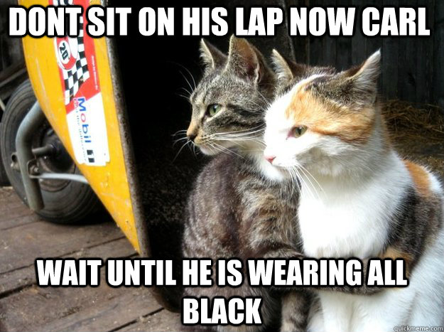 Dont sit on his lap now carl wait until he is wearing all black - Dont sit on his lap now carl wait until he is wearing all black  Restraining Cat