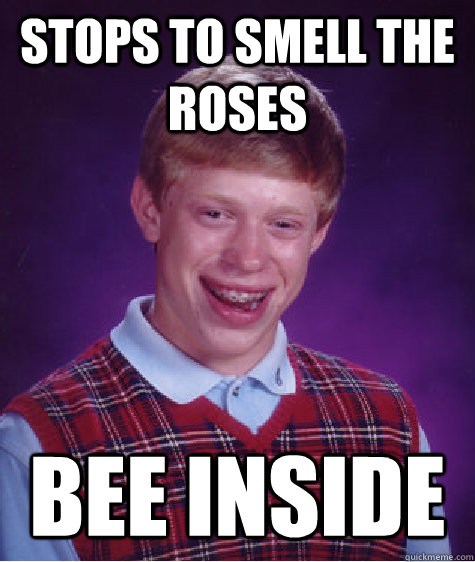 stops to smell the roses bee inside  Bad Luck Brian