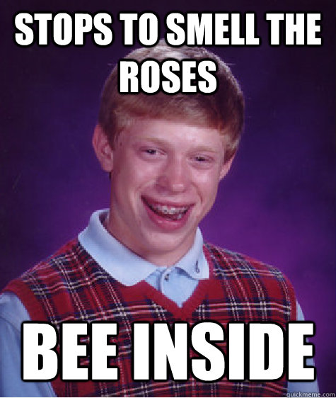 stops to smell the roses bee inside - stops to smell the roses bee inside  Bad Luck Brian