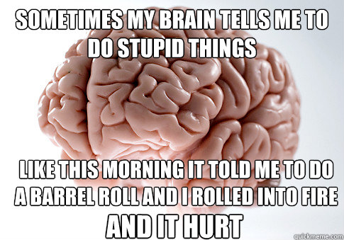 SOMETIMES MY BRAIN TELLS ME TO DO STUPID THINGS LIKE THIS MORNING IT TOLD ME TO DO A BARREL ROLL AND I ROLLED INTO FIRE AND IT HURT  Scumbag Brain