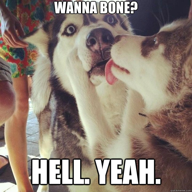 Wanna bone? Hell. Yeah. - Wanna bone? Hell. Yeah.  Relationship Dog