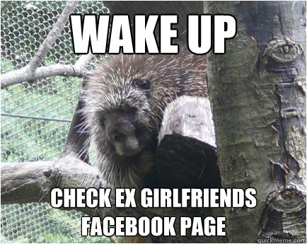 wake up check ex girlfriends facebook page - wake up check ex girlfriends facebook page  Post break up porcupine