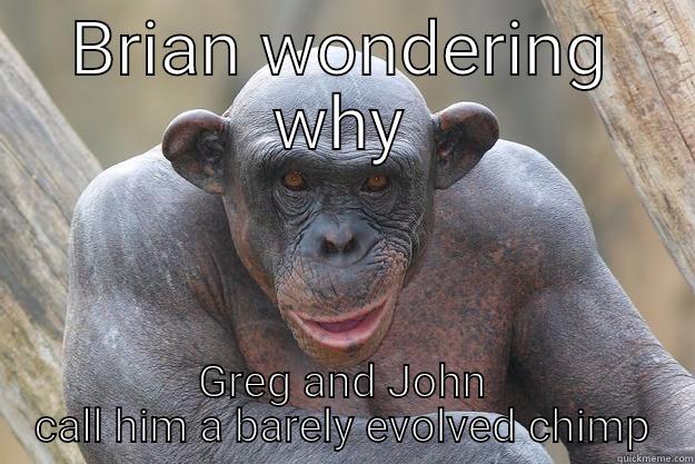 BRIAN WONDERING WHY GREG AND JOHN CALL HIM A BARELY EVOLVED CHIMP The Most Interesting Chimp In The World