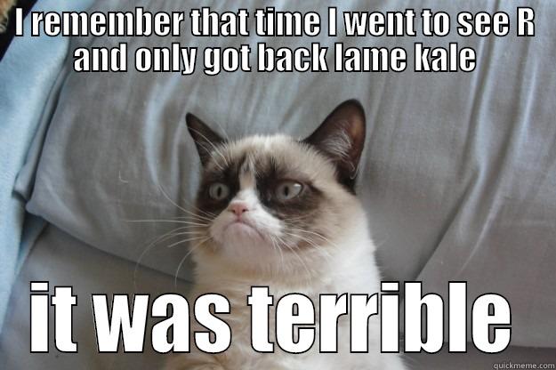 I REMEMBER THAT TIME I WENT TO SEE R AND ONLY GOT BACK LAME KALE IT WAS TERRIBLE Grumpy Cat