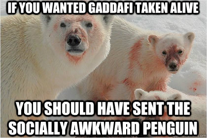 If you wanted gaddafi taken alive You should have sent the Socially Awkward Penguin  - If you wanted gaddafi taken alive You should have sent the Socially Awkward Penguin   Bad News Bears