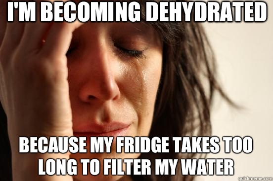 I'm becoming dehydrated because my fridge takes too long to filter my water  First World Problems