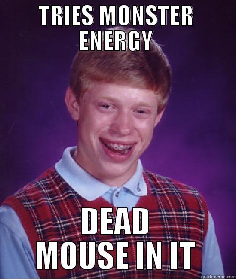 Dead Mouse in Monster drink. - TRIES MONSTER ENERGY DEAD MOUSE IN IT Bad Luck Brian