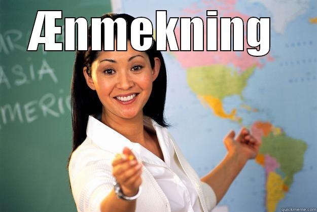 ÆNMEKNING   Unhelpful High School Teacher