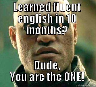 LEARNED FLUENT ENGLISH IN 10 MONTHS? DUDE, YOU ARE THE ONE! Matrix Morpheus