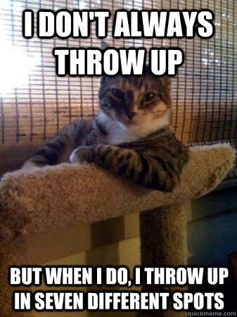 I don't always throw up but when I do, I throw up in seven different spots  The Most Interesting Cat in the World