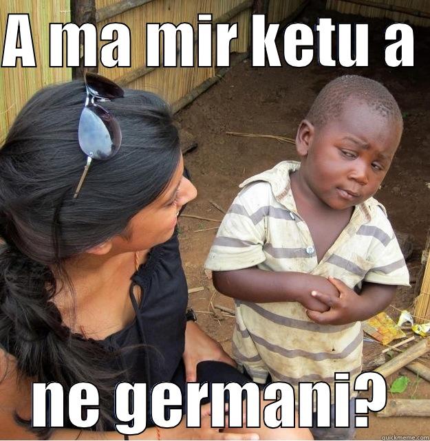 shqip meme :D - A MA MIR KETU A  NE GERMANI? Skeptical Third World Kid