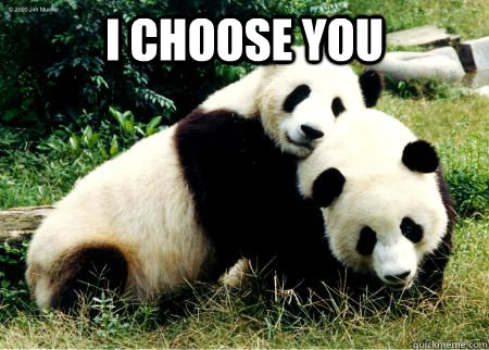 i choose you  - i choose you   panda love