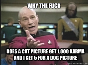 Why the fuck does a cat picture get 1,000 karma and i get 5 for a dog picture  Annoyed Picard