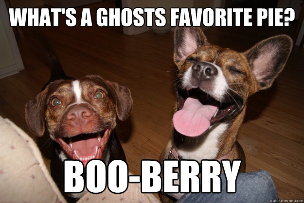 What's a ghosts favorite pie? Boo-berry  Clean Joke Puppies