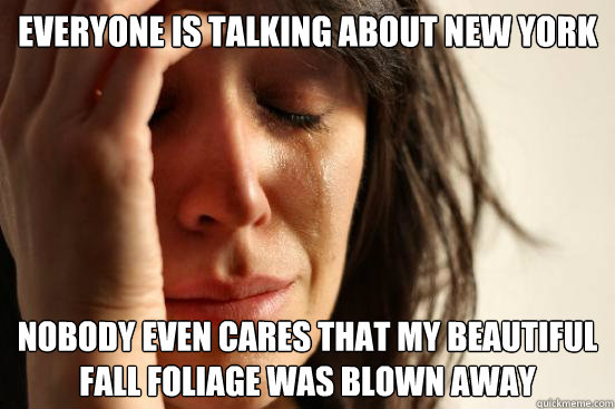 Everyone is talking about New York Nobody even cares that my beautiful fall foliage was blown away  First World Problems