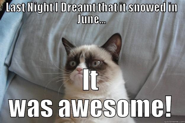 LAST NIGHT I DREAMT THAT IT SNOWED IN JUNE... IT WAS AWESOME! Grumpy Cat