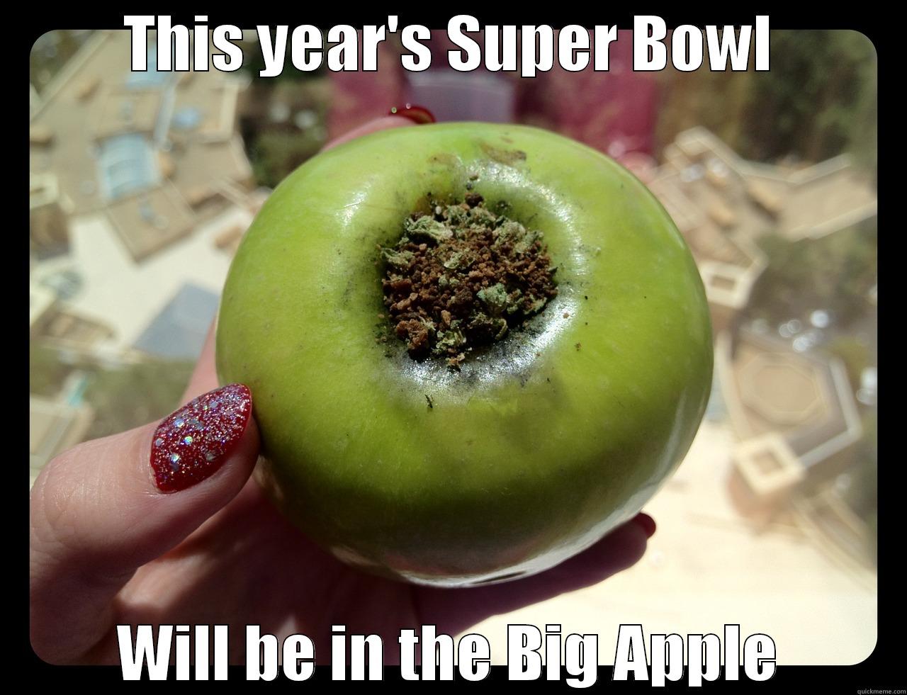 THIS YEAR'S SUPER BOWL WILL BE IN THE BIG APPLE Misc