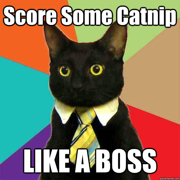 Score Some Catnip LIKE A BOSS - Score Some Catnip LIKE A BOSS  Misc