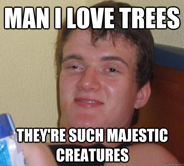 Man I love trees they're such majestic creatures - Man I love trees they're such majestic creatures  10 Guy