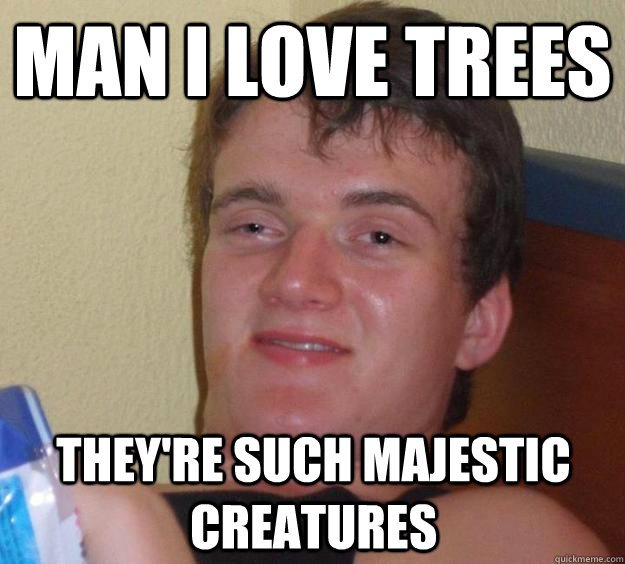 Man I love trees they're such majestic creatures  10 Guy