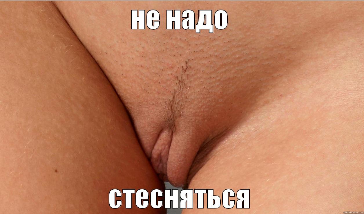 НЕ НАДО СТЕСНЯТЬСЯ Misc