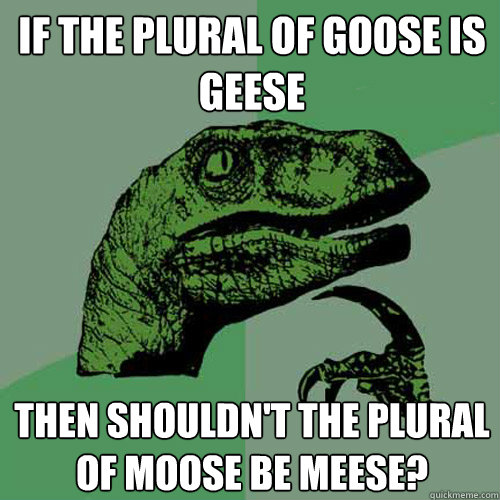 If the plural of goose is geese Then shouldn't the plural of moose be meese?  Philosoraptor