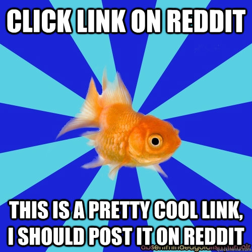CLICK LINK ON REDDIT THIS IS A PRETTY COOL LINK, I SHOULD POST IT ON REDDIT - CLICK LINK ON REDDIT THIS IS A PRETTY COOL LINK, I SHOULD POST IT ON REDDIT  Absentminded Goldfish