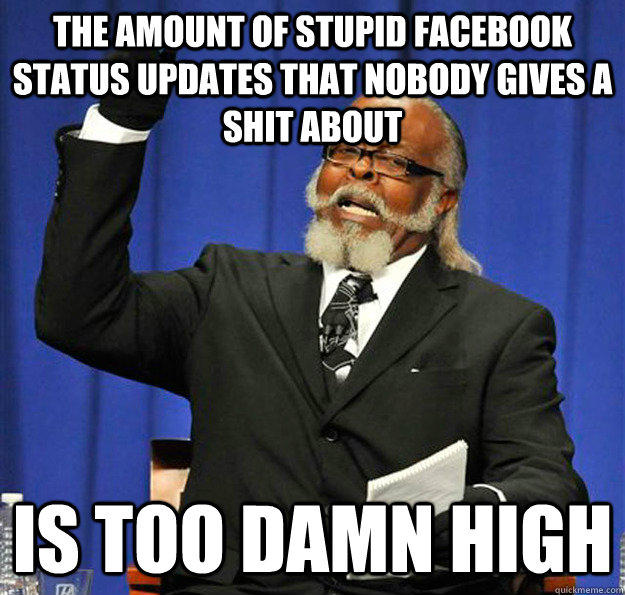 The amount of stupid facebook status updates that nobody gives a shit about Is too damn high  Jimmy McMillan