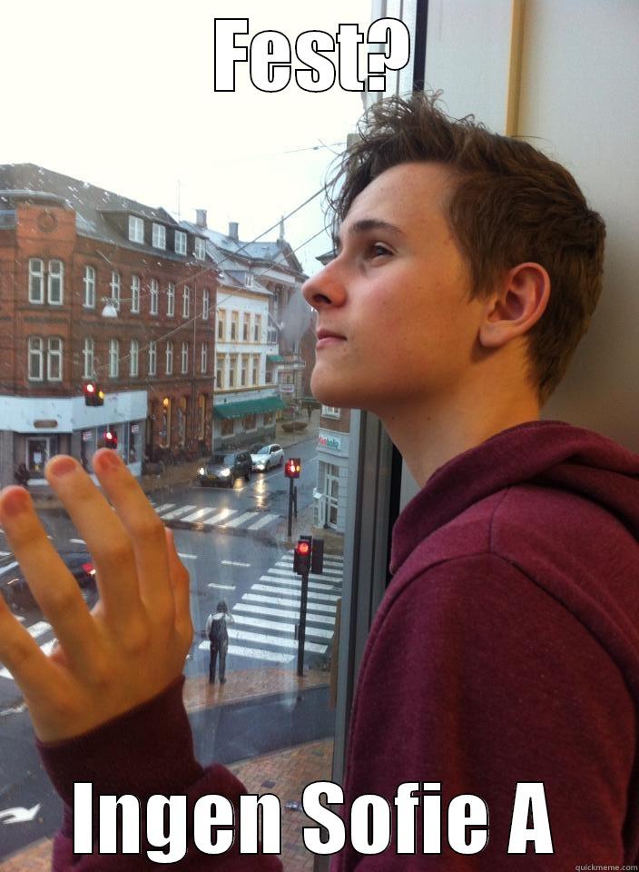 FEST? INGEN SOFIE A Misc