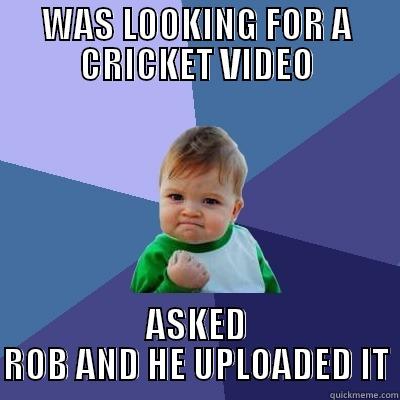WAS LOOKING FOR A CRICKET VIDEO ASKED ROB AND HE UPLOADED IT Success Kid