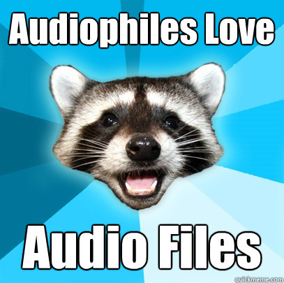 Audiophiles Love Audio Files  Lame Pun Coon
