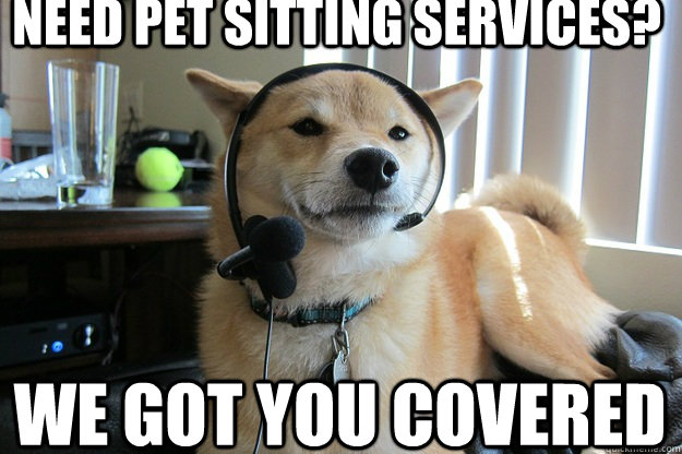Need Pet sitting services? we got you covered  Customer service dog