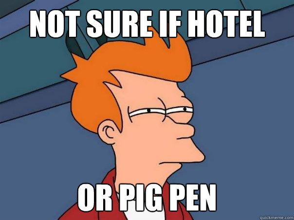 Not sure if hotel room Or pig pen  Futurama Fry
