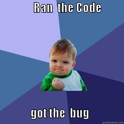                RAN  THE CODE                                              GOT THE  BUG                Success Kid