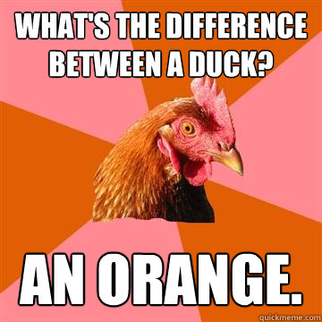 What's the difference between a duck? an orange.  Anti-Joke Chicken
