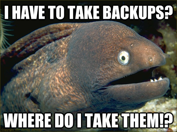 I have to take backups? Where do I take them!?  Bad Joke Eel