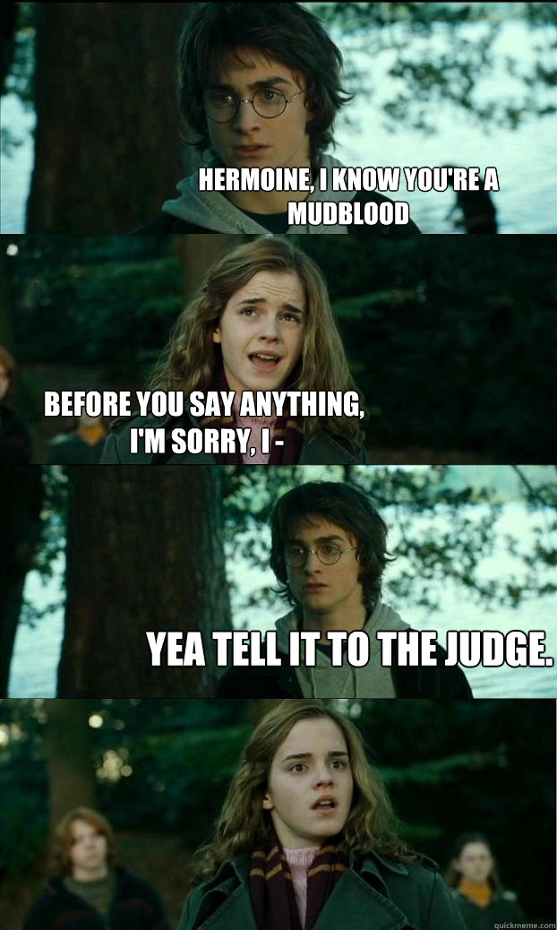 hermoine, i know you're a mudblood before you say anything,
 I'm sorry, I -  Yea tell it to the judge.  Horny Harry