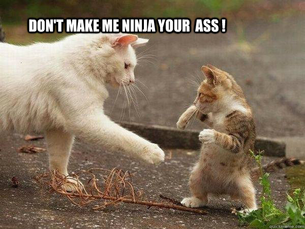 Don't make me ninja your  ass !  