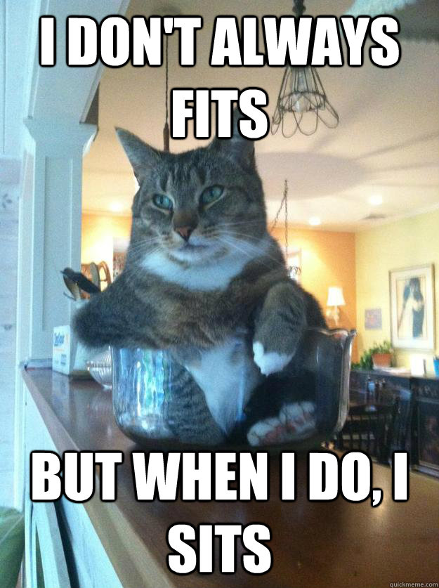 I don't always fits But when I do, I sits  Worlds Most Interesting Cat