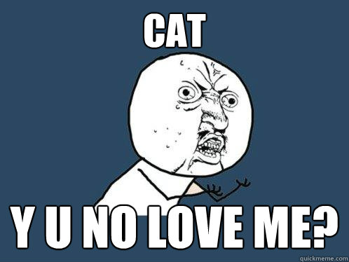 cat y u no love me?  Y U No