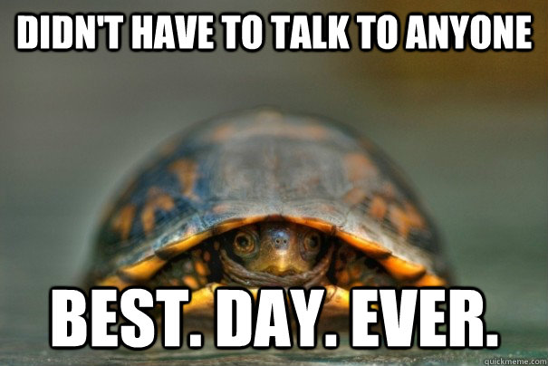 Didn't have to talk to anyone best. day. ever.  Introvert Turtle