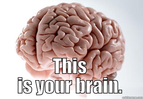 Coaching for academics. -  THIS IS YOUR BRAIN. Scumbag Brain