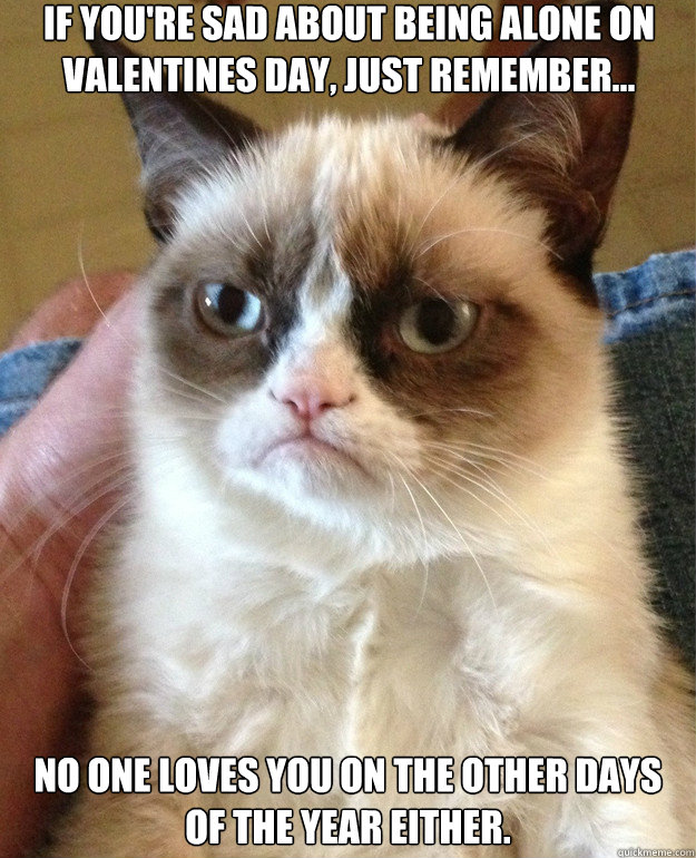 if you're sad about being alone on valentines day, just remember...  no one loves you on the other days of the year either. - if you're sad about being alone on valentines day, just remember...  no one loves you on the other days of the year either.  Misc